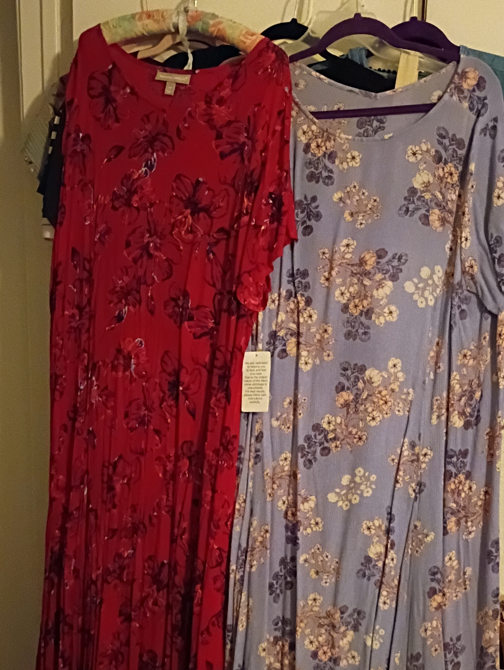 Woman Within Red and Blue Floral Short-Sleeve Maxi Dresses